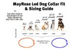 Pet luminous collar - Blue - Transparent Blue Light